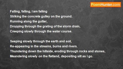 bryan wallace - The Raindrop