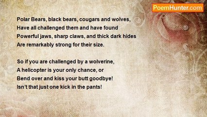 Robert Edgar Burns - Wolverines