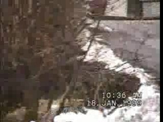 Rally Monte Carlo 1999