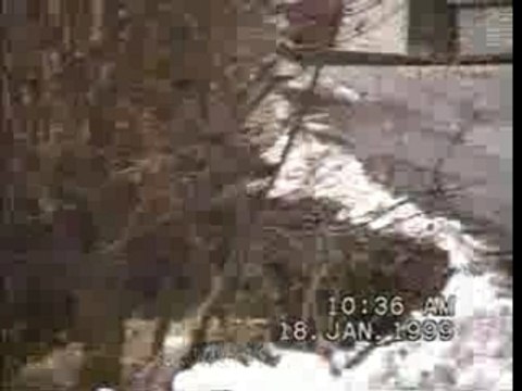 Rally Monte Carlo 1999