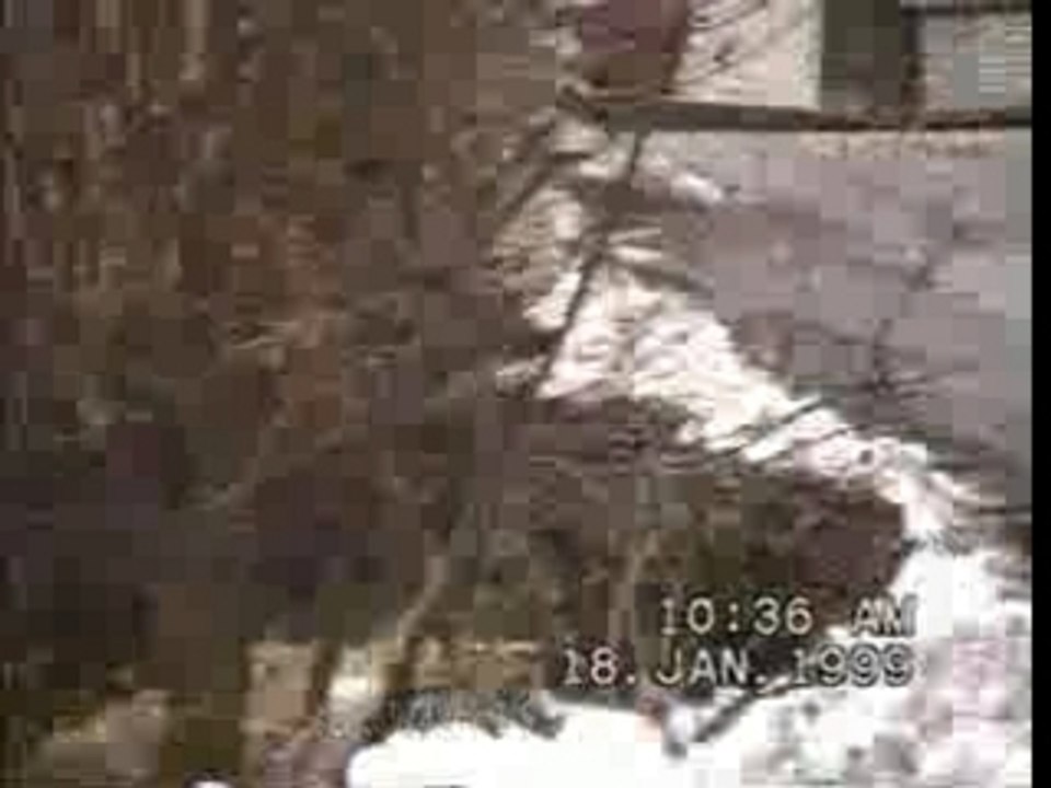 Rally Monte Carlo 1999