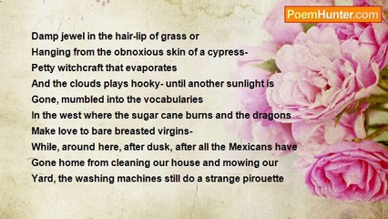 Robert Rorabeck - Damp Jewel