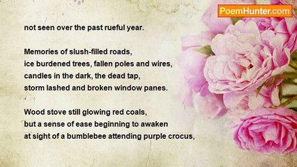 Kevin T McEneaney - Staggered but Singing