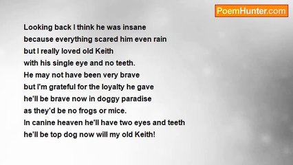 Kevin Halls - My old dog Keith