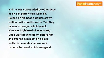 Kevin Halls - My Old Dog Keith Is Now A King