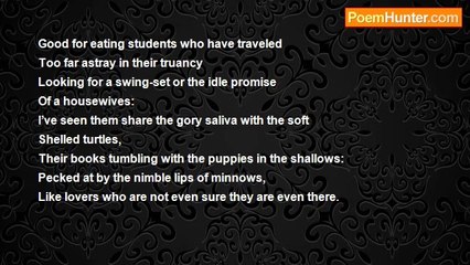 Robert Rorabeck - In The Shallows