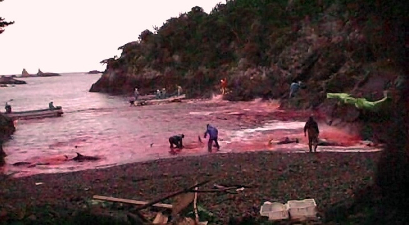 Japonya'nın Yunus Katliamı!!