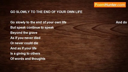 Shalom Freedman - Go Slowly To The End Of Your Own Life