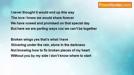 Meann Santiago - Broken Promises
