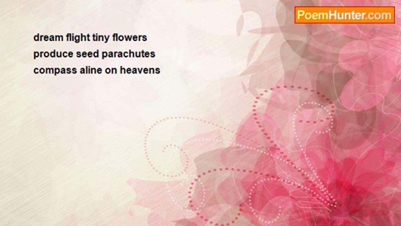 Terence George Craddock (Spectral Images and Images Of Light) - Kite Flight Dream Space Travel