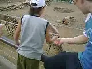 EN EL ZOO DE BUENOS AIRES LOS MANDIOLA
