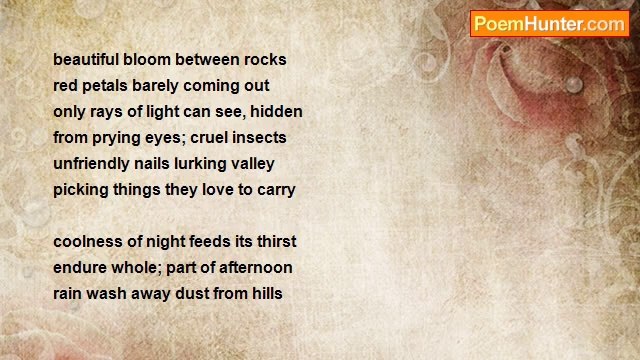 Manonton Dalan - She'll Survive