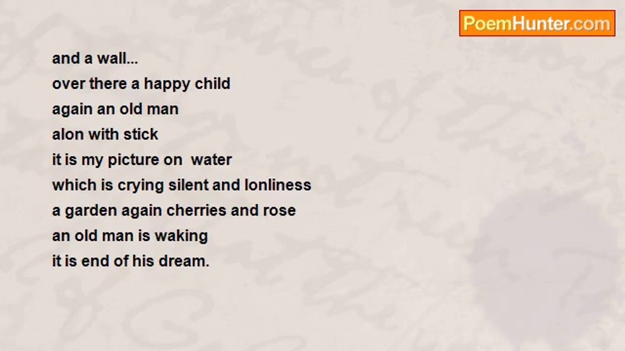 mina lotfi - an old man
