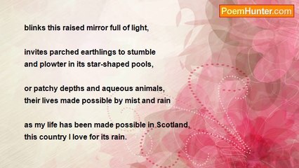 Sally Evans - Mirror (Flanders Moss, near Stirling)
