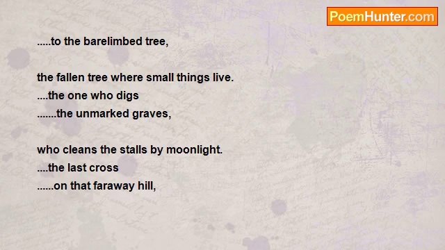 Eric Cockrell - I Was Not Born To Follow!