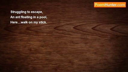 spiritual seeker - Escape