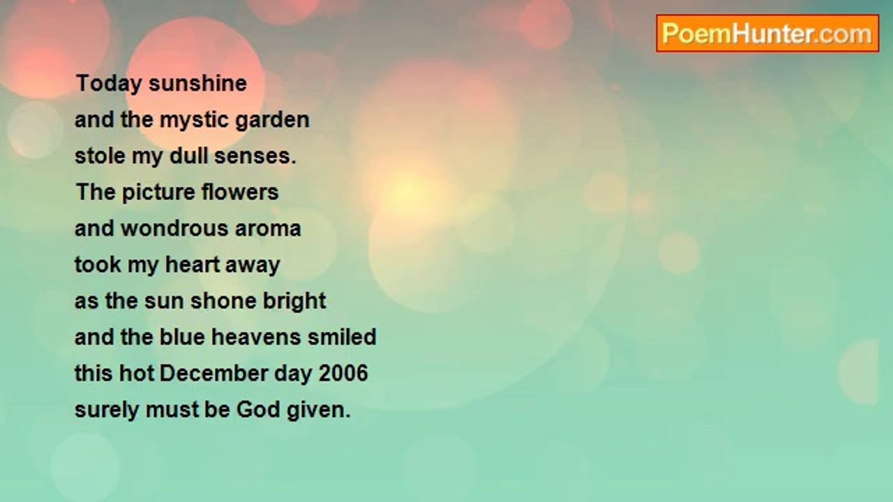 Wayne Falconer - Sunshine Mystic Day