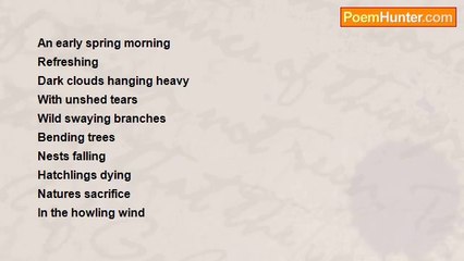 persian khushi - Storm