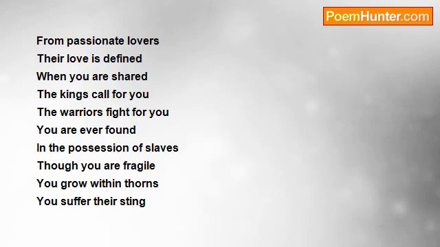 Seun Bewaji - Bruised Rose