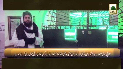 Package - Hazrat e Umar Bin Aas, Hazrat e Wahab Bin Hushaira