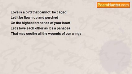 VIPINS PUTHOORAN - Panacea! ! !