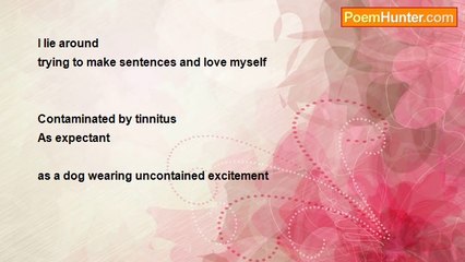 Sara Fielder - Elastic Hours