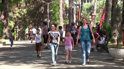 Raw: Donkeys call Rhino roommate at Tbilisi Zoo