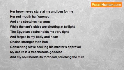 Alain Ilan Braun - Egyptian Nights