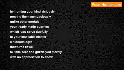 Chris Jibero - Man Heal Yourself