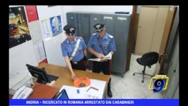 Andria | Ricerca in Romania arrestato dai carabinieri