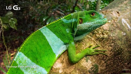 Milk TV LG G3 Active Volcano Project. Burhan Altınsoy Tech.