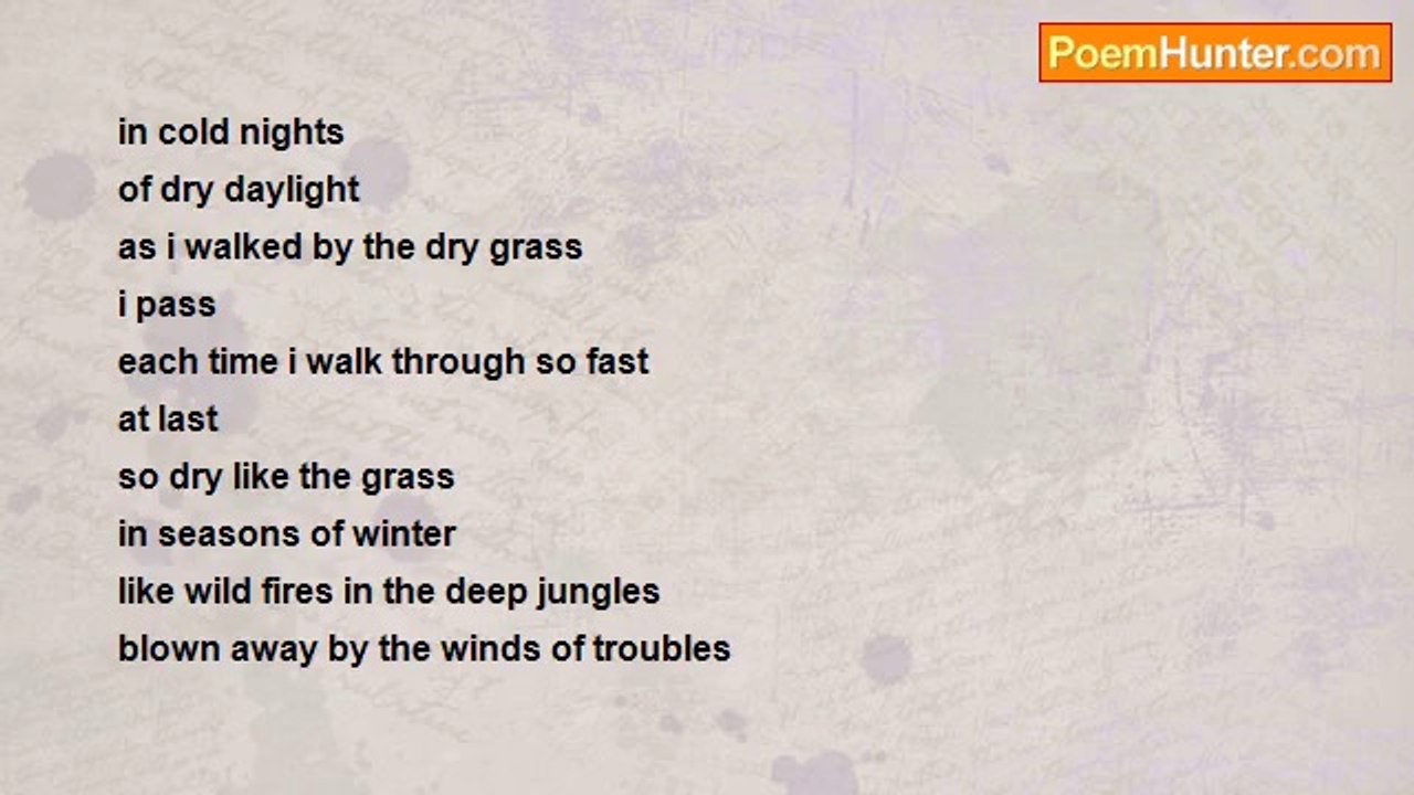 Onalethuso Petruss Ntema - The Grass