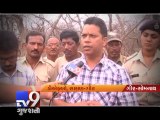 Lions outside Gir gets radio collars - Tv9 Gujarati