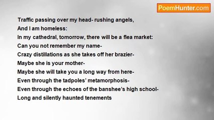 Robert Rorabeck - Languishing In The Sun