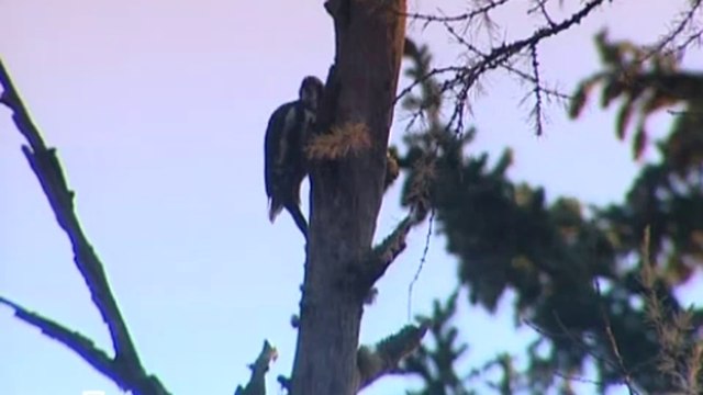 Фильм 43. «Красноярск. Призраки на разломе» [29.09.2012]