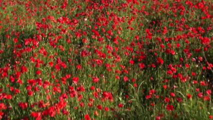 Vues d'un drone, proche du Luberon