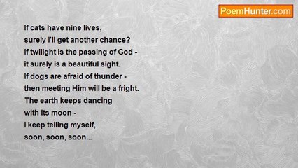 Jacqui Broad - Waltzing Thoughts