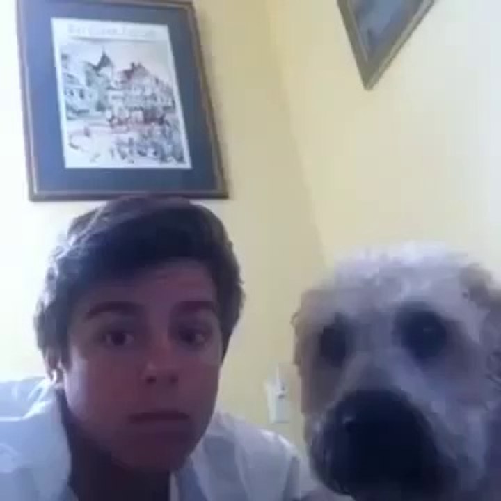 How to bump with your Dog Amazing VINES