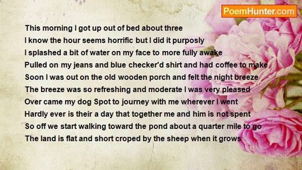 Leather Sandal - The Pond Before Daylight