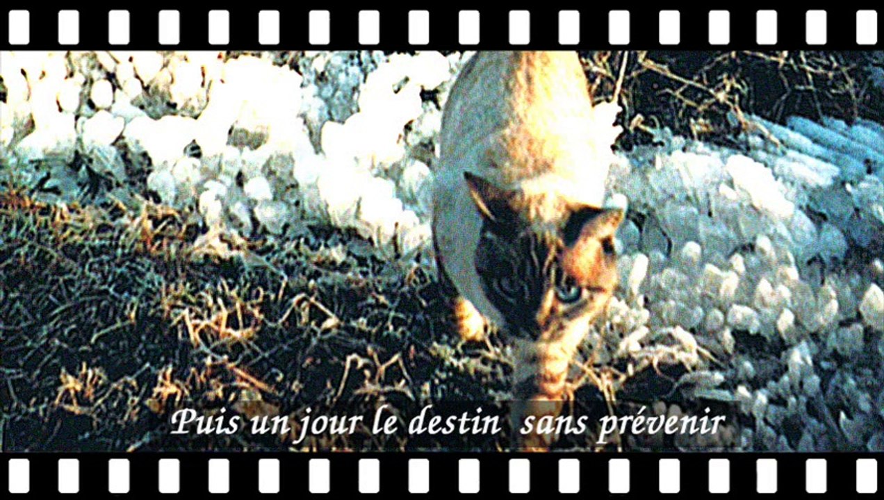 j'avais des amis_version panoramique