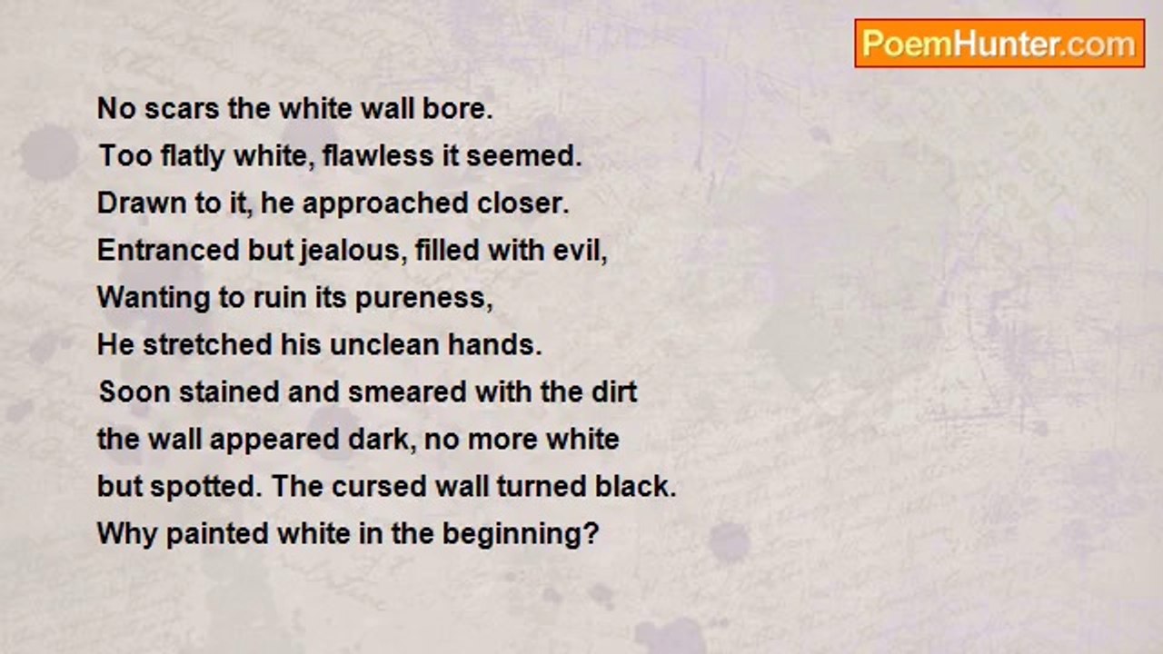 austin ohc - The White Wall