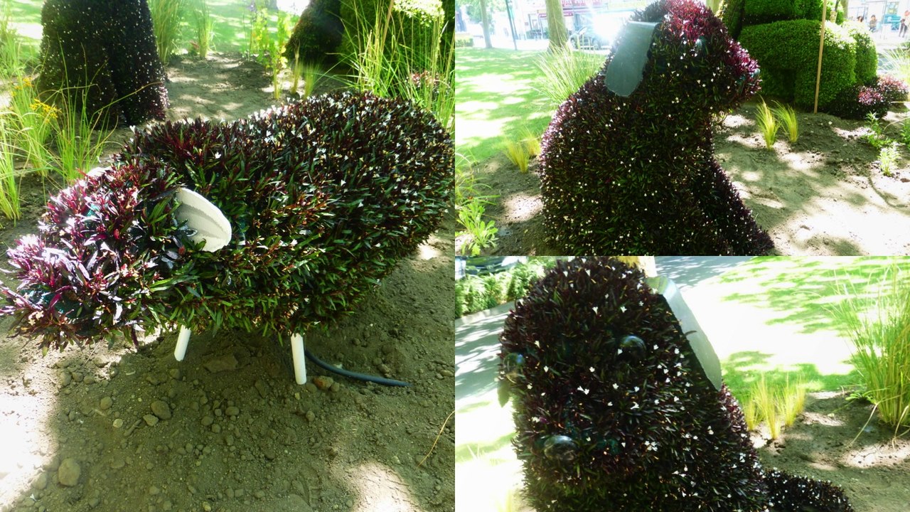 mosaiculture