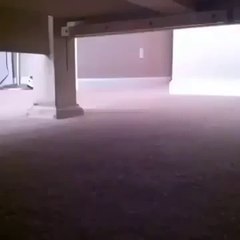 Reverse Hide N Seek Vine By Joey Ahern and Steel the Husky