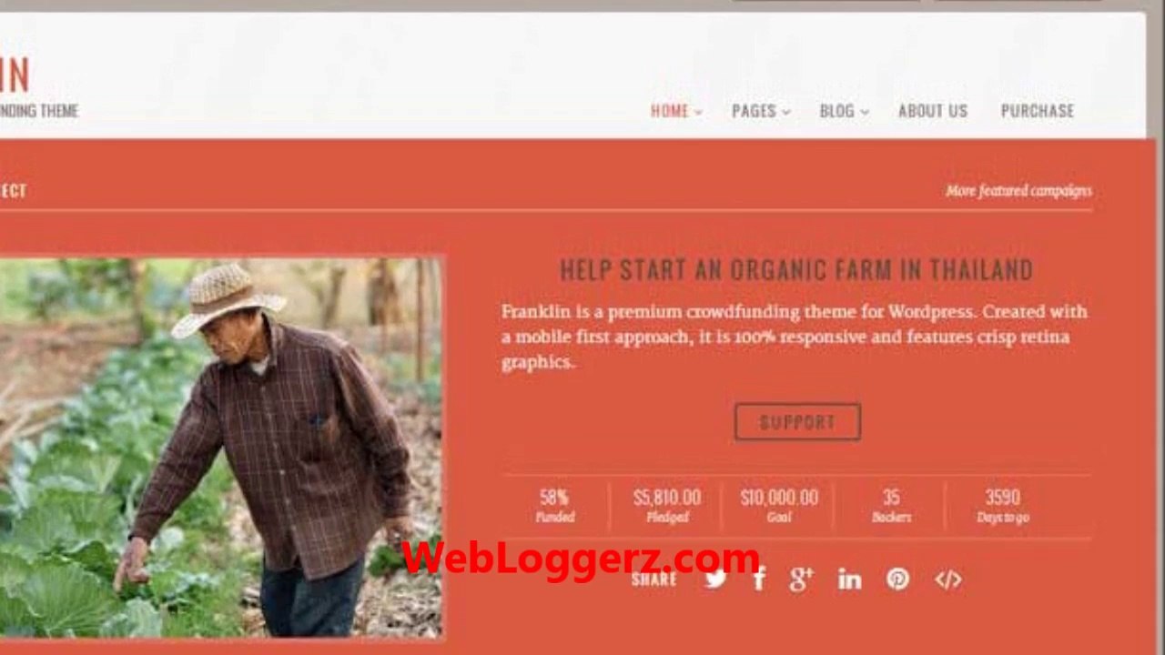Best WordPress Crowdfunding Themes 2014