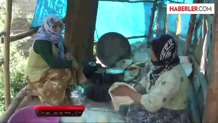 Van Bahçesaray'da Çekirgeler Mahalleyi İstila Etti