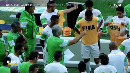 Présentation match Belgique - Algérie à H-4