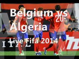 Live Belgium vs Algeria