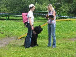 "Стенка на стенку" 2013