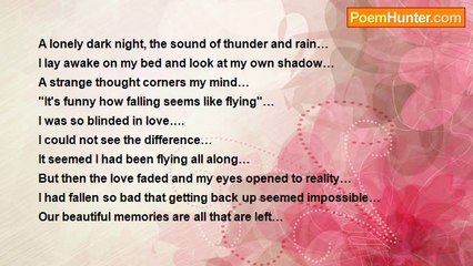 Ankit Mittal - fly off once again