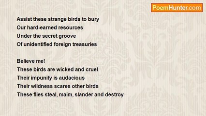 Babatunde Aremu - Willd Ostriches